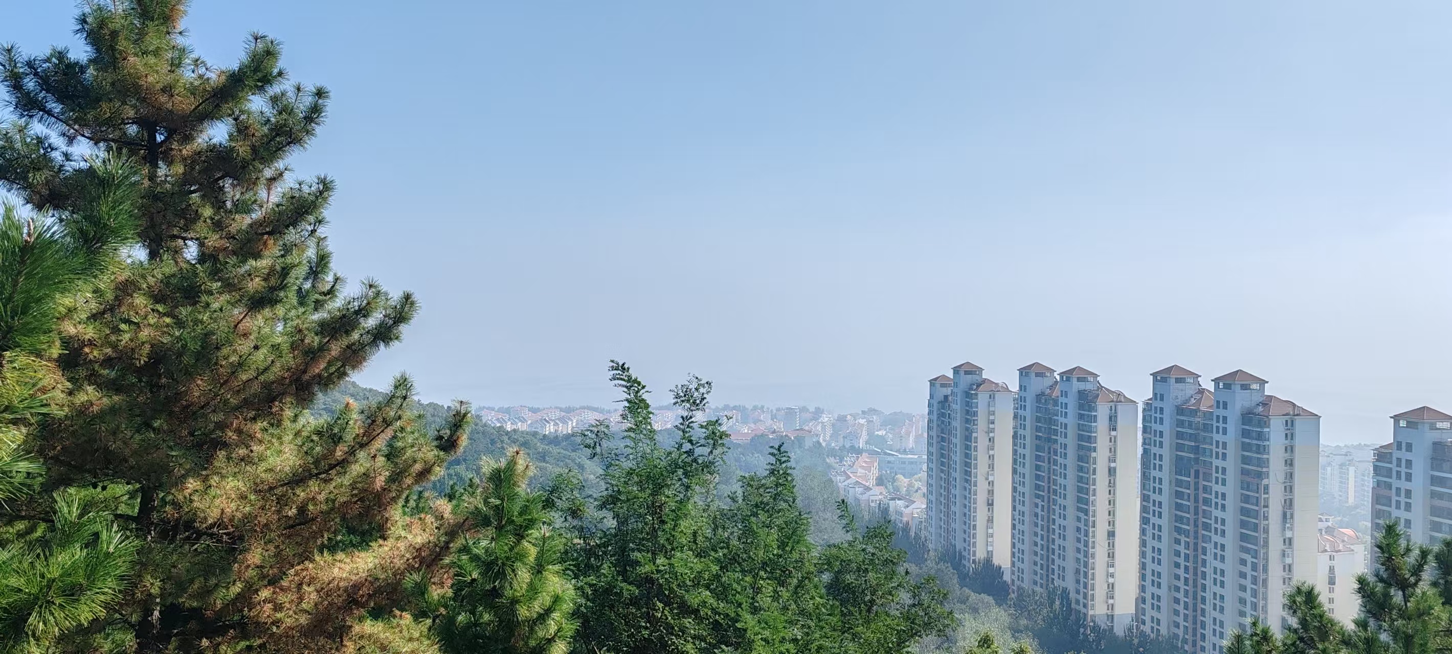 1764754874275747.jpg 烟台登顶.jpg